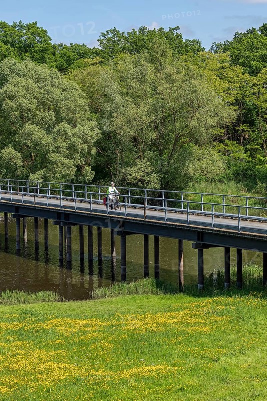 Cyclist, bridge over the Sude, Elbe cycle path, Gothmann district, Boizenburg, Mecklenburg-Vorpommern, Germany, Europe
