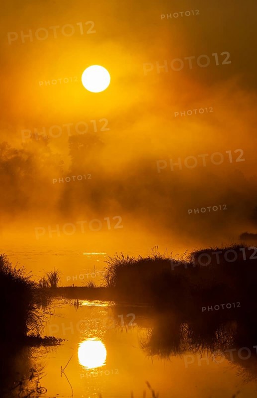 Morning atmosphere, fog, sunlight, backlight, water, Lower Austria