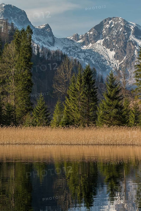 Reflection of the mountains and trees in a calm lake with a clear sky. View from the Almsee to the Tote Gebirge. Almtal Upper Austria nature reserve