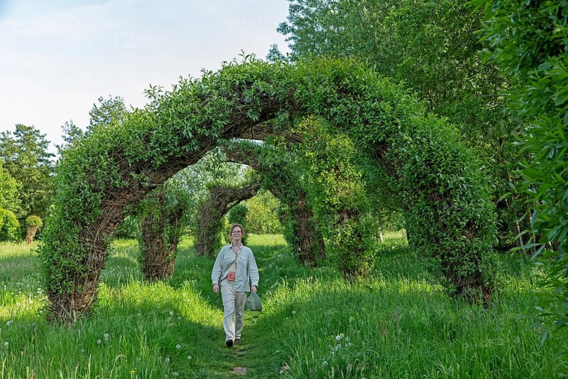 Woman goes for a walk, Topiary Garden, Symphonic Willow Walk, Boizenburg, Mecklenburg-Vorpommern, Germany, Europe