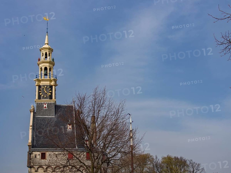 Historic stone clock tower surrounded by trees in front of a blue sky, tower with a golden spire and a large clock in front of a blue sky, hoorn, the netherlands