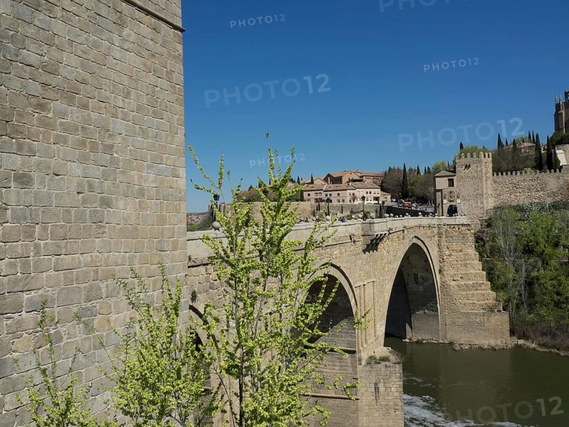 Stone bridge over a river with a historic castle in the background and green plants in the foreground on a sunny day, historic stone bridge with an old tower and an old town in the background over a wild river, Toledo, Spain, Europe