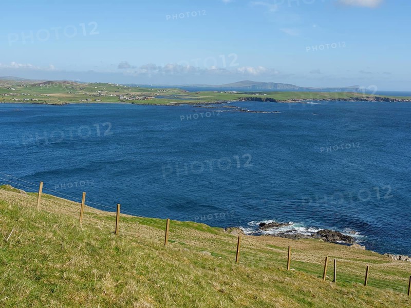 Grassland sloping gently to the deep blue sea under a clear sky, green meadows by a deep blue sea and a rocky coastline with individual houses, lerwick, shetland, Scotland, United Kingdom, Europe