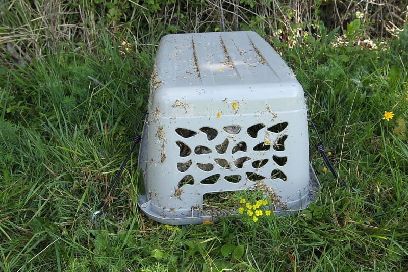 European roe deer (Capreolus capreolus) fawn rescue, fawn rescued from the meadow to be mowed and brought to safety under a laundry basket, Allgaeu, Bavaria, Germany Allgaeu, Bavaria, Germany, Europe
