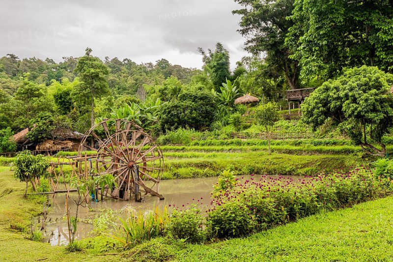 Two wooden turbine baler water wheels in rice paddy at Thai mountain cultural village in Chiang Khan, Thailand, Asia