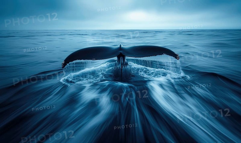 Whale's tail fluke emerging from the water against a backdrop of swirling ocean currents AI generated