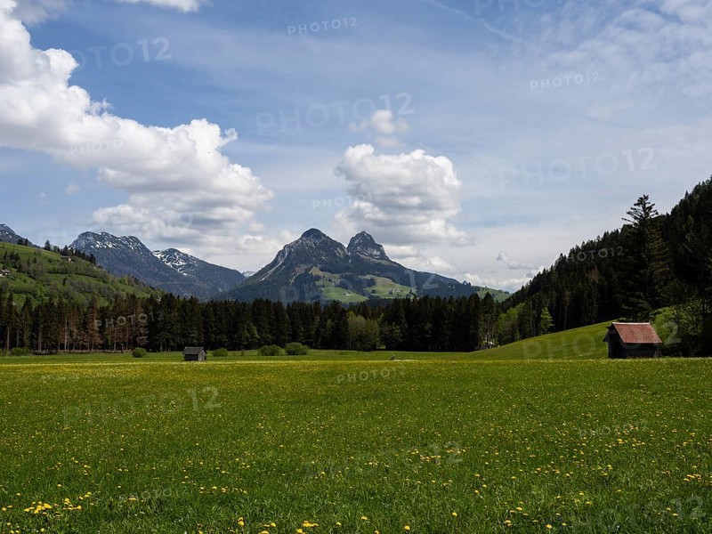 Meadow at the edge of the forest, hay barn, cloudy mood over mountain peaks, near Bad Mitterndorf, Styria, Austria, Europe