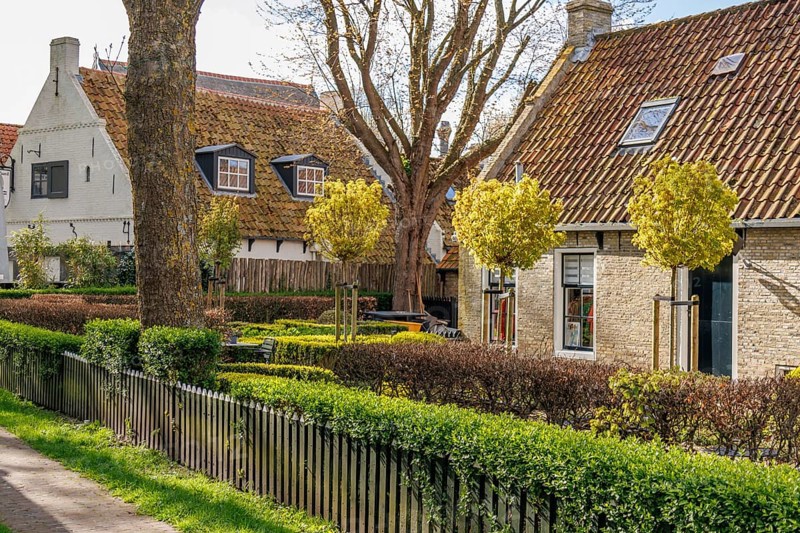 Picturesque village houses with well-tended gardens and green fences under a blue sky, old houses and small streets with lanterns and green trees, Nes, Ameland, Netherlands