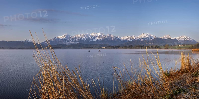 Sunrise, Lake Hopfensee, near Fuessen, Ostallgaeu, with the Tannheim Mountains behind, Allgaeu, Bavaria, Germany, Europe