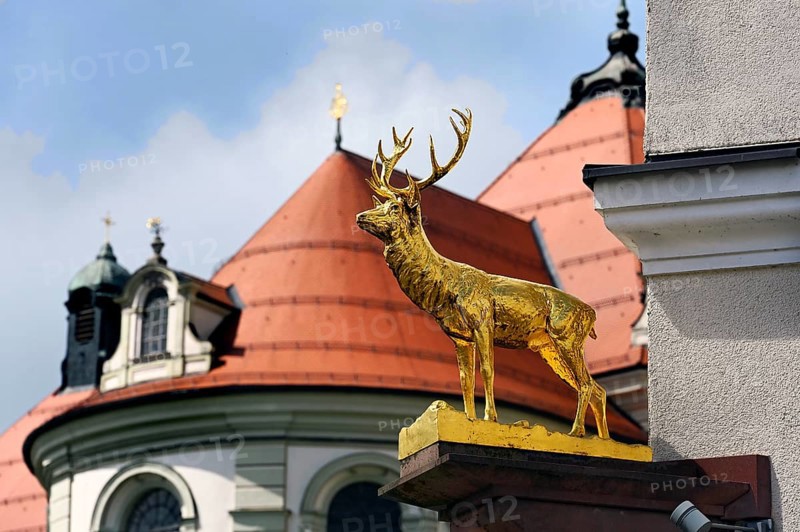 Nose shield, golden Hirsvh, Ottobeuren, Allgaeu, Swabia, Bavaria, Germany, Europe