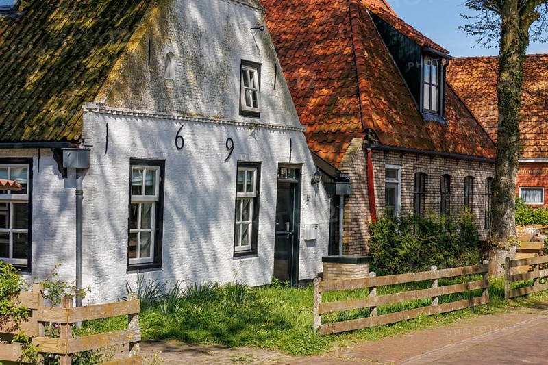 Traditional old houses in a village, surrounded by trees and a wooden fence in the sunlight, historic houses in a small village with small streets and trees in spring, Nes, Ameland, Netherlands