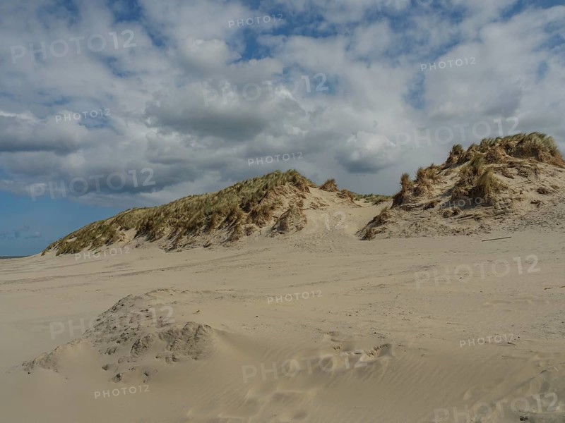Wide sand dune landscape under a sky with threatening clouds, beach and dunes with grass and a bench by the sea, nes, ameland, the netherlands