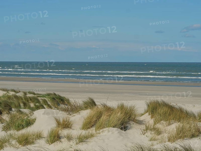 Coastal landscape with dunes and grass, sea view under a clear blue sky, beach and dunes with grass and a bench by the sea, nes, ameland, the netherlands