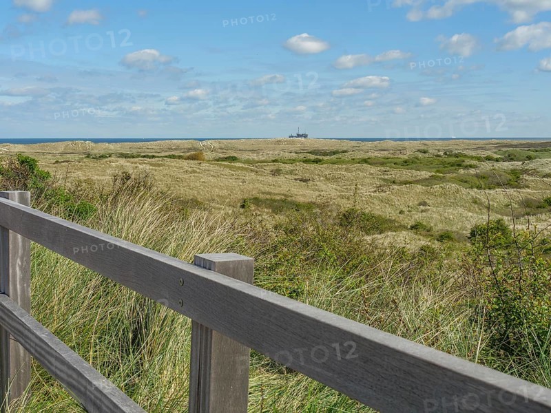 A wooden fence frames a green dune landscape under a bright sky with few clouds, dune and footpaths on the Wadden Sea, clouds in the sky, nes, ameland, netherlands