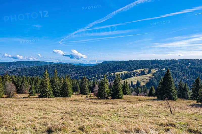 Natural panorama with wooded hills under a clear blue sky and white clouds, Feldberg, Germany, Europe