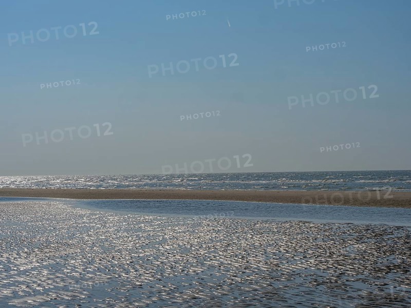 Spacious beach and calm sea under a clear blue sky, sparkling sea water at low tide on the beach, de haan, belgium