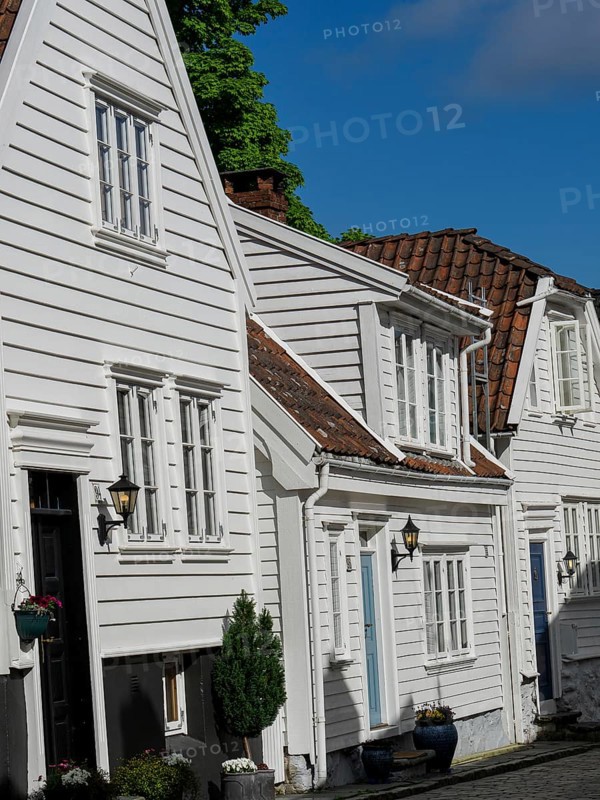Narrow alley with white wooden houses with red tiled roofs and flowering plants, white wooden houses with green trees and flowers against a blue sky, Stavanger, Norway, Europe