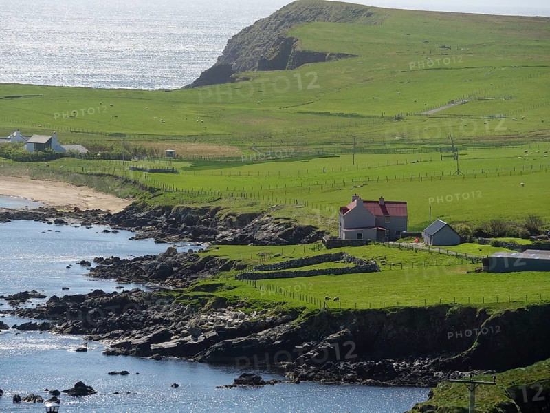 A peaceful coastal landscape with green hills, a house and sea view, green meadows on a deep blue sea and a rocky coastline with individual houses, lerwick, shetland, Scotland, United Kingdom, Europe