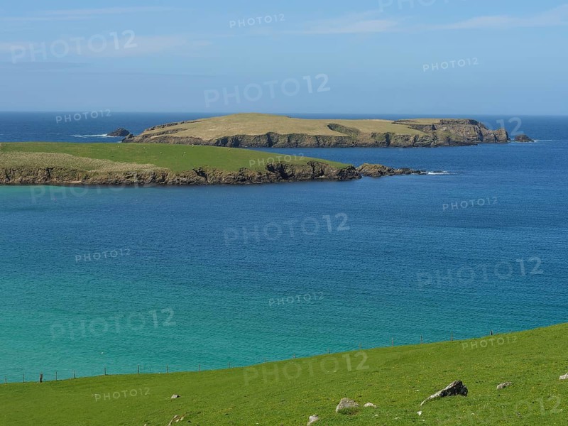 Peaceful island in the blue ocean with green grassland and blue skies. The atmosphere is calm and spacious, golden beach with green grasslands on a deep blue sea with blue sky, Lerwick, Shetland, Scotland, United Kingdom, Europe