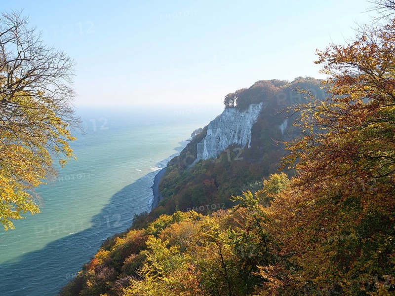 View of wooded slopes and cliffs jutting into the blue sea in autumnal colour palette, autumnal foliage and white rocks on the coast with the sea in the background, Ruege, Germany, Europe