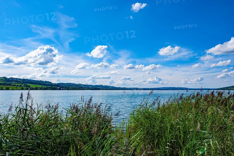 View over a calm lake with water sportsmen surrounded by green grass and a blue sky with clouds, Sempach. Lucerne, Switzerland, Europe