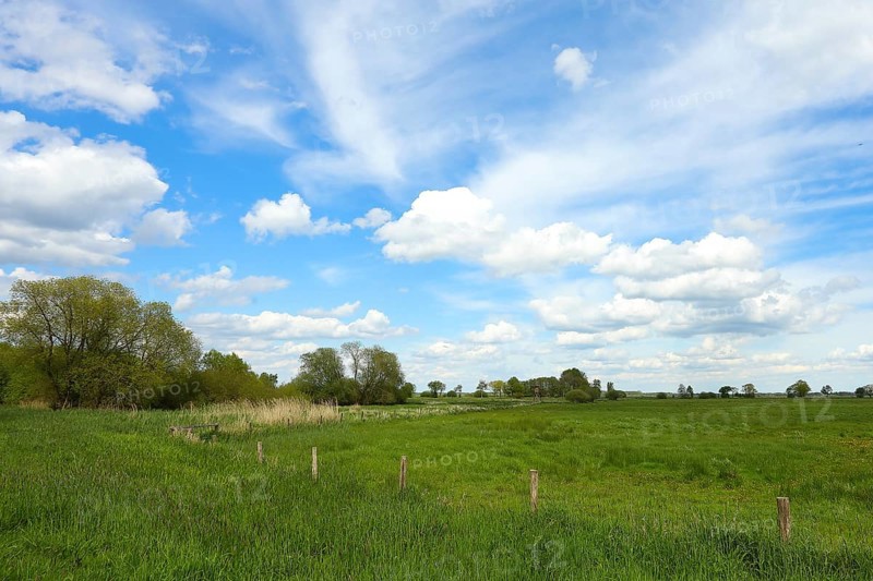 Meadow landscape with clouds on the southern shore of the Duemmer, inland lake, Huede, Lower Saxony, Germany, Europe