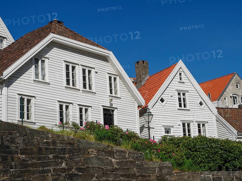 White painted houses with red tiled roofs and flower beds in the front garden, blue sky, stone wall in the foreground, white wooden houses with red roof in front of blue sky, trees and white fences along the street, stavanger, norway