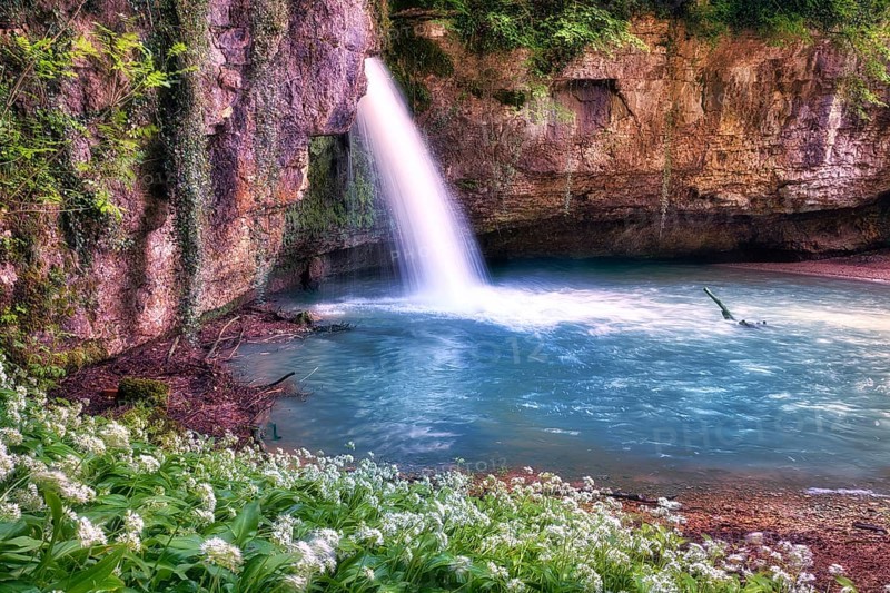 Waterfall with small pond, wild garlic in bloom, Canton Basel-Landschaft, Switzerland, Europe