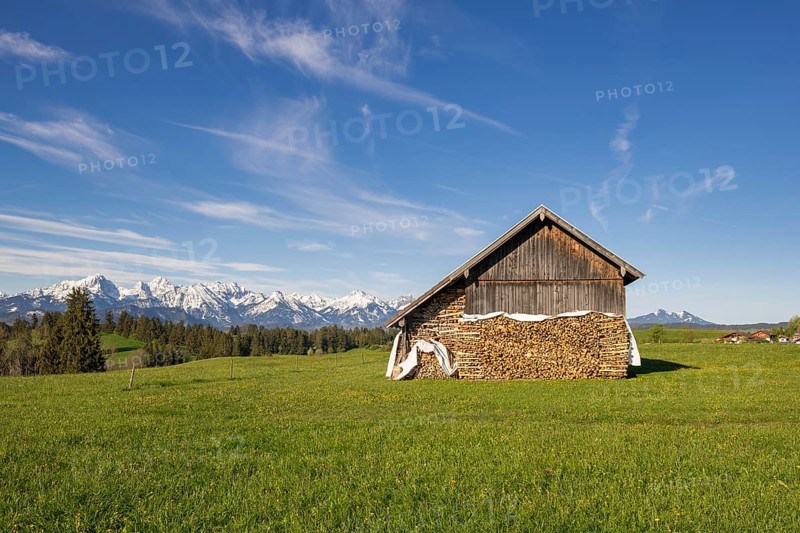 Wooden hut near Fuessen, woodpile, Allgaeu Alps, snow, meadow, Allgaeu, Bavaria, Germany, Europe