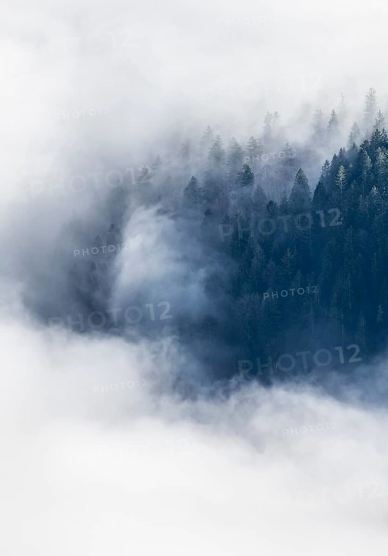 Wooded mountain looks out of cloud cover, view from Ettaler Manndl, high fog in the valley, Ammergau Alps, Bavaria, Germany, Europe