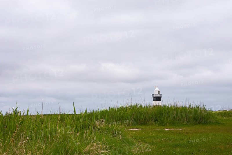 Black and white lighthouse near the North Sea resort Wremen, called 'Kleiner Preusse', behind high grasses in front of a grey, cloudy sky, National Park Niedersaechsisches Wadden Sea, World Heritage Site, Wurster North Sea coast, Land Wursten, district Cuxhaven, Lower Saxony, Germany, Europe