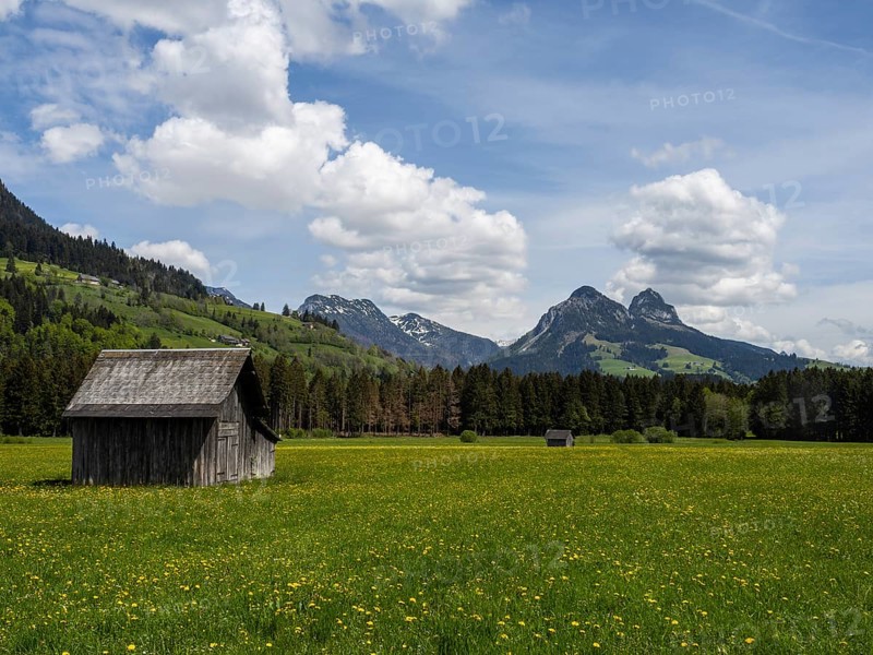 Hay barn in meadow at the edge of the forest, cloudy mood over mountain peaks, near Bad Mitterndorf, Styria, Austria, Europe