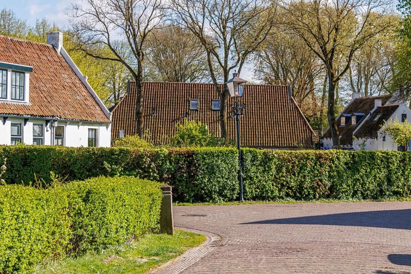 Houses and bushes along a lane surrounded by trees in a village in spring, historic houses in a small village with small streets and trees in spring, Nes, Ameland, Netherlands