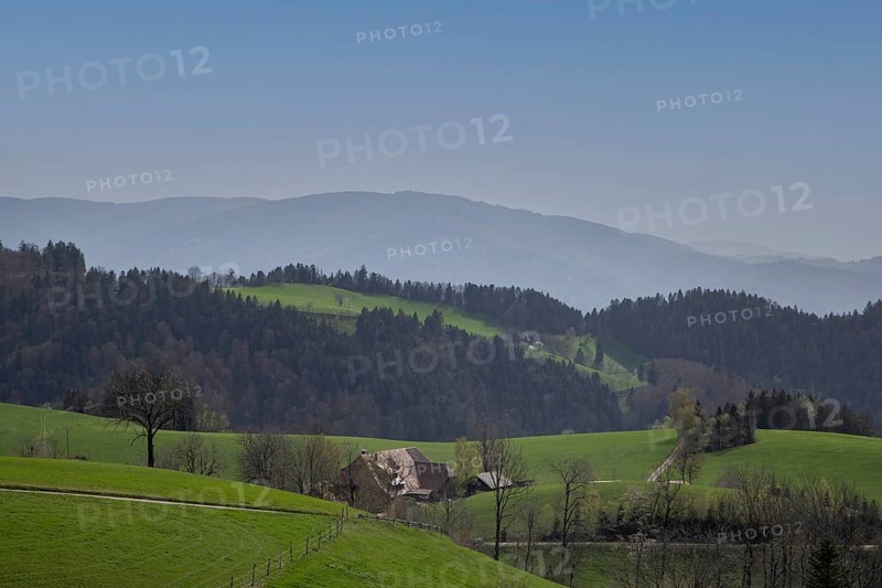 Mountains and trails in the Black Forest, Kandel, Baden-Wuerttemberg, Germany, Europe