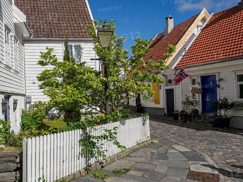White house with red tiled roof and norwegian flag, a green tree and cobblestone street on a sunny day, white wooden houses with red roof against blue sky, trees and white fences along the street, stavanger, norway