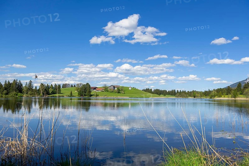 Hegratsrieder See near Fuessen, Allgaeu Alps, farm, blue cloudy sky, Allgaeu, Bavaria, Germany, Europe