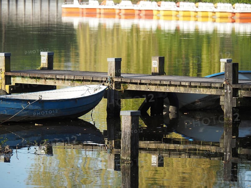 A boat moored on a jetty reflected in the calm waters of a lake, rowing boats and pedal boats on a small wooden jetty in the lake surrounded by trees, Borken Germany