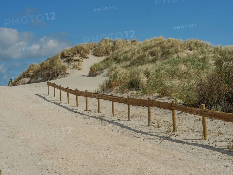 Sand dunes by the sea with blue sky, nes, ameland, netherlands