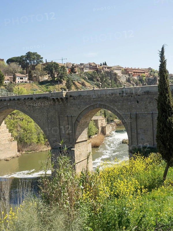 Stone bridge with arches over a river, surrounded by vegetation and a sunny landscape, historic stone bridge with an old tower and an old town in the background over a wild river, Toledo, Spain, Europe