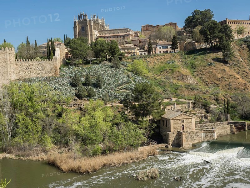 Castle and historical buildings on a hill with river and green vegetation in the foreground on a sunny day, historical stone bridge with an old tower and an old town in the background over a wild river, Toledo, Spain, Europe