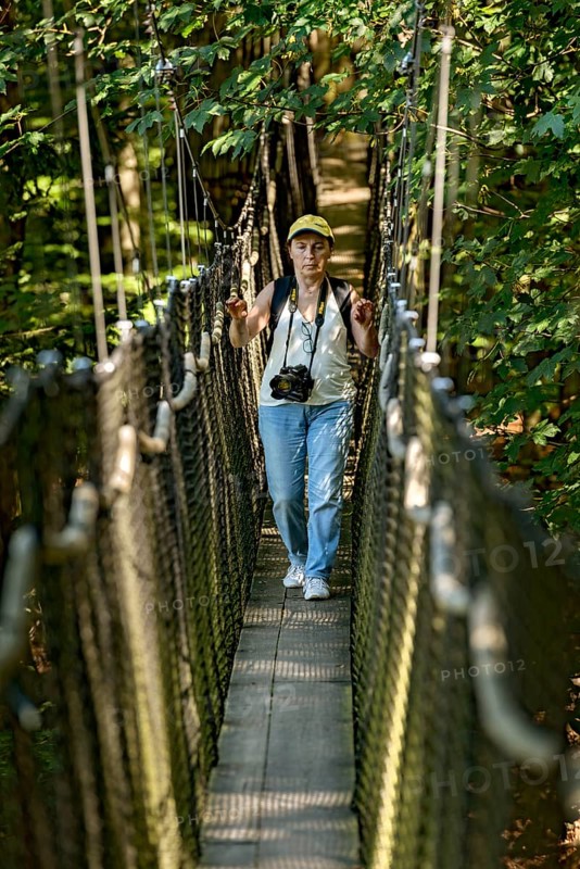 Sporty woman, tourist with camera in treetop path, suspension bridges, ropes, nets, beech forest, excursion, summit mountain Hoherodskopf, Tertiary volcano, Schotten, Vogelsberg Volcanic Region nature park Park, Hesse, Germany, Europe