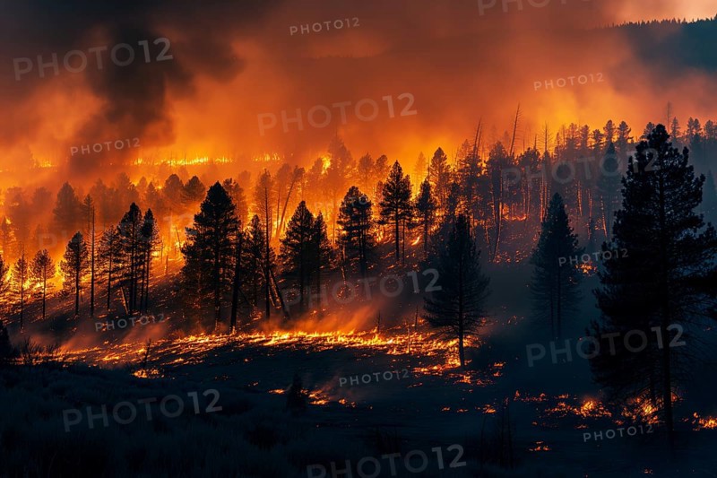 View of a forest fire is raging through a forest, with smoke and flames visible in the air. The scene is chaotic and dangerous, with trees and other vegetation being consumed by the fire, AI generated