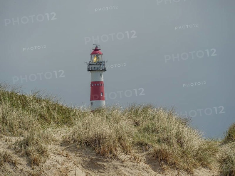A red and white striped lighthouse behind grassy dunes under a cloudy sky, red and white lighthouse in the dunes, nes, ameland, the netherlands