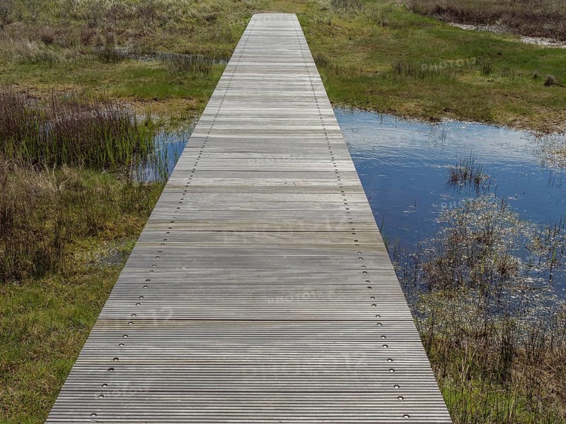 A wooden path crosses a marshy area with green grass and small patches of water, cloudy sky, wooden path through the dune, blue sky with clouds, nes, ameland, netherlands