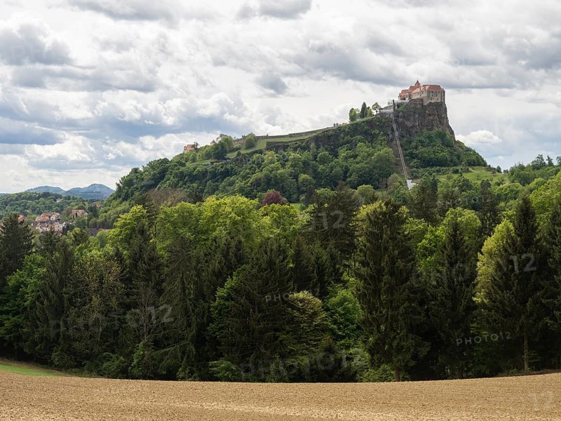 Farmland at the edge of the forest, Riegersburg, East Styrian volcanic region, near Riegersburg, Styria, Austria, Europe