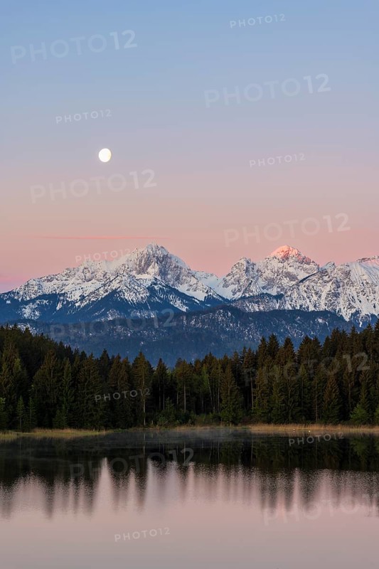 Allgaeu Alps, view from Hegratsrieder See, snow, dawn, moon, Allgaeu, Bavaria, Germany, Europe