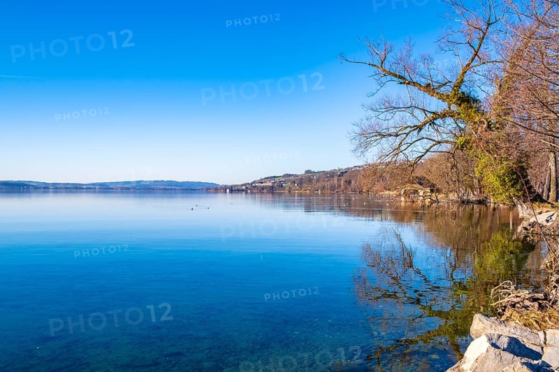 View of Lake Sempach with blue sky, Sempach, Switzerland, Europe