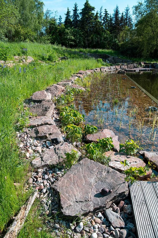 Pond in a natural garden, practical nature conservation, biotope for insects, amphibians and birds, swimming pond with near-natural water edge design, Germany, Europe