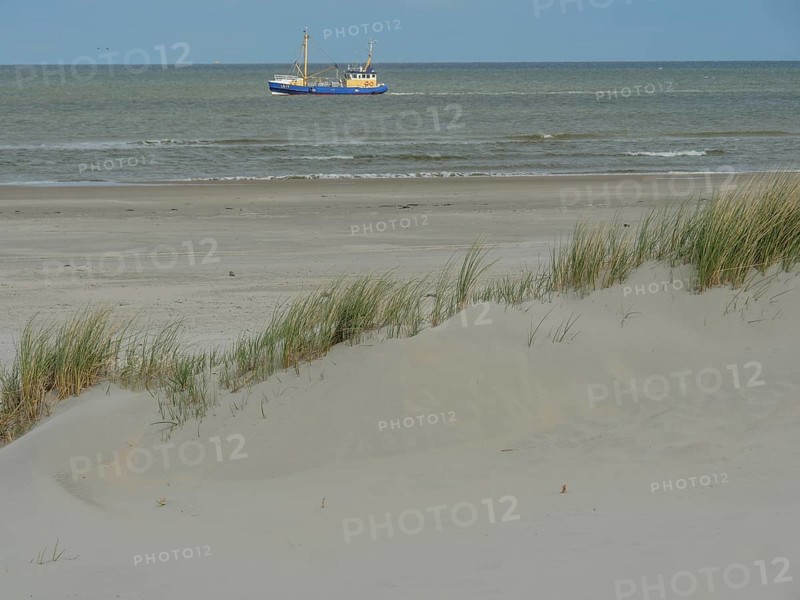 Blue boat in the sea behind sand dunes with reeds in calm weather, dunes by the sea with clouds in the blue sky, nes, ameland, netherlands