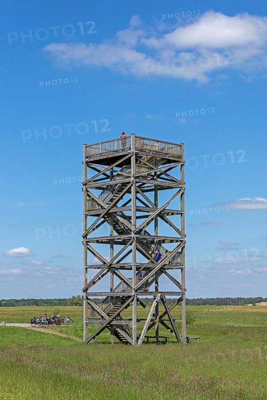 Elbe cycle path, Mahnkenwerder observation tower near Boizenburg, Mecklenburg-Western Pomerania, Germany, Europe